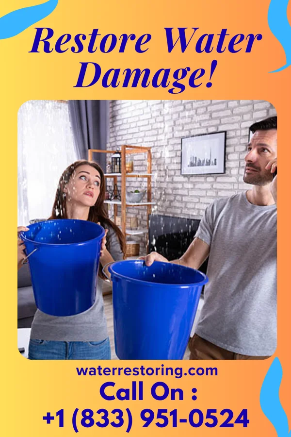 water restoration Trusted Extraction Masters Pleasant Plain