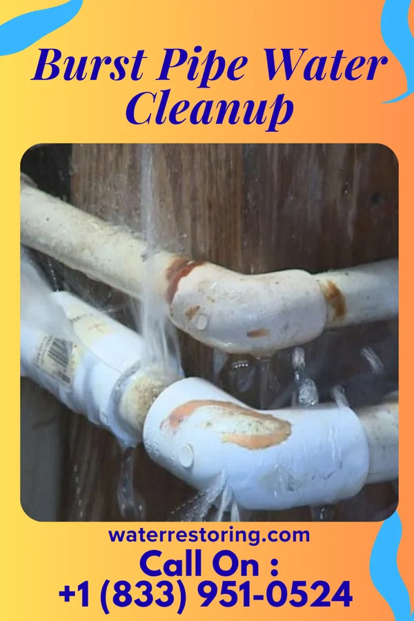 Burst Pipe Water Cleanup in Pleasant Plain, IA