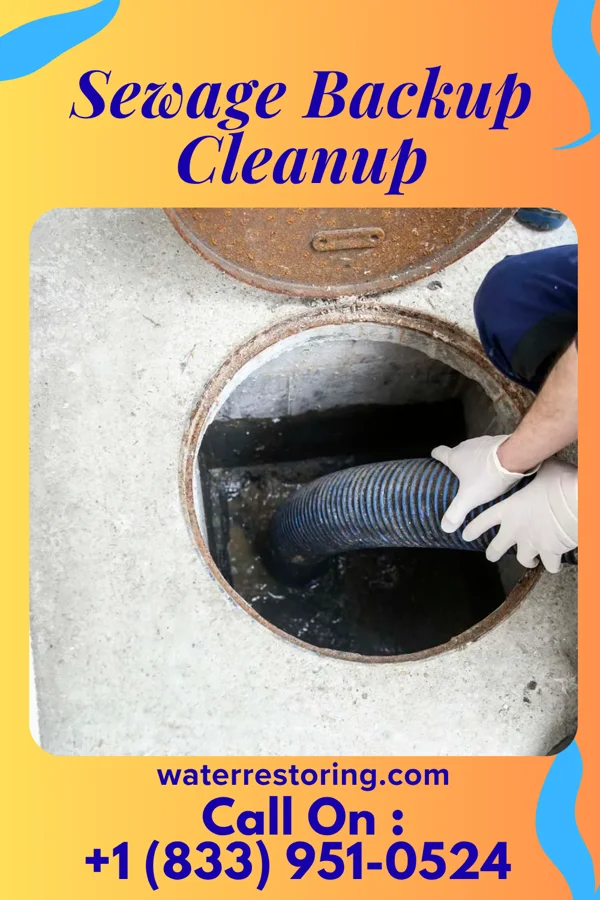 Sewage Backup Cleanup in Pleasant Plain, IA